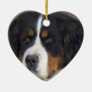 Search for bernese mountain dog christmas tree decorations Breed