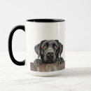 Search for labrador retriever memorial Animal