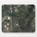 Search for barred owl electronics Tree