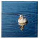 Search for waterfowl tiles Cute