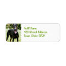 Search for doberman dog return address labels Dogs