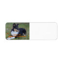 Search for sheepdog return address labels Shetland
