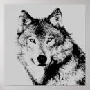Search for moon face posters Wolf head portrait face