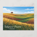 Search for tallgrass Travel