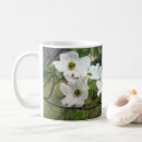 Search for dogwood mugs Tree