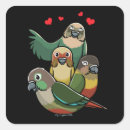 Search for cheek stickers Green cheeked conure