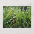 Search for dew drop Droplet