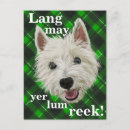 Search for funny dog saying postcards Cute