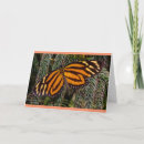 Search for growth cards Butterfly