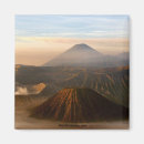 Search for java magnets Indonesia