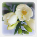 Search for yellow white stickers Green