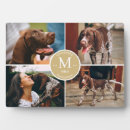 Search for cat plaques Modern