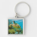 Search for reefs the key rings Lagoon