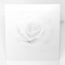 Search for blank programmes Create your own