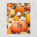 Search for piles postcards Fall