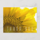 Search for name address cards Floral