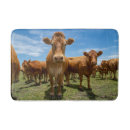 Search for cow bathroom accessories Cattle