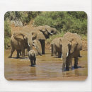 Search for game reserve mousepads Kenya