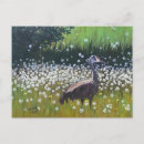 Search for migrating postcards Crane