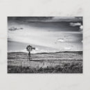 Search for plains postcards Midwest