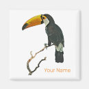 Search for tropical design magnets Bird