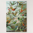 Search for 1899 Illustrations