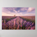 Search for aromatherapy posters Purple