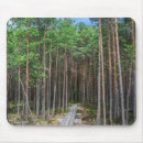 Search for forest path electronics Tree