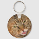Search for lick key rings Pet