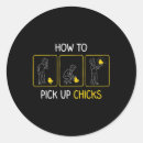 Search for funny cute cartoon chick stickers Chicken coop