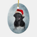 Search for newfoundland dog christmas tree decorations Pet