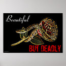 Search for pet snake posters Python