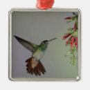 Search for south america christmas tree decorations Nobody