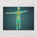 Search for skeletal postcards Medicine