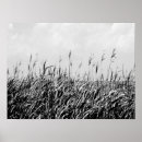 Search for triptych posters Photography