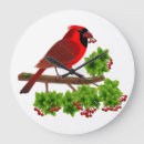 Search for cardinal clocks Animals