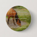 Search for horse badges Nature