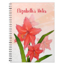 Search for amaryllis Pink