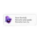 Search for pansies return address labels Pansy