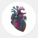 Search for anatomical heart stickers Nurse