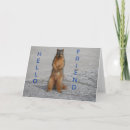 Search for squirrel hello cards Squirrels