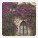 Search for windows stickers Purple