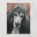 Search for dog shows postcards Canine