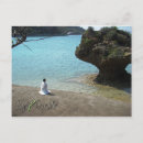 Search for shaman postcards Nature