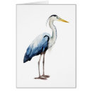 Search for herons Nature