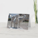 Search for best compliments cards Cute