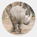 Search for rhino stickers Animal