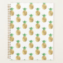 Search for plain planners White