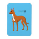 Search for pharaoh magnets Dog