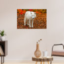 Search for autumn background posters Nature